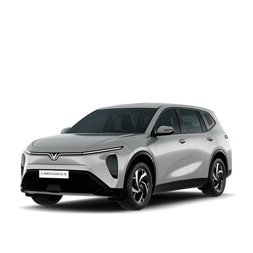 vinfast limo green 10-4-25 dai dien san pham xam